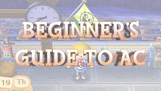 Beginners Guide to Animal Crossing New Leaf [upl. by Latrell]