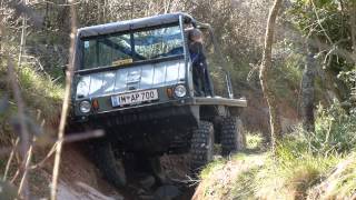 Steyr Puch Haflinger  Les Comes 4x4 [upl. by Treborsemaj746]