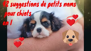 ❤🐶🐺 42 suggestions de petits noms pour chiots en I [upl. by Pliske]