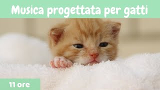 14  Musica progettata per gatti Musica Rilassante Per Gatti per calmarsi il dormire animali [upl. by Ubana]