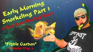 SNORKELING EGYPT PART 1  Reef Oasis Blue Bay Resort 2017 GoPro Hero 4 [upl. by Jehiah]