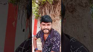 Yele Azhagamma Song From Thirunelveli Movie prabhu roja vindhya lovesong tamilsong [upl. by Mosier]