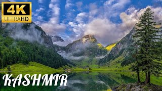 Kashmir  Most Beautiful Place in India  Mini Switzerland 4k Video [upl. by Eeresed572]