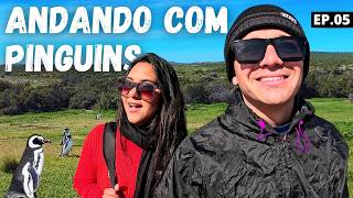 Visitamos a MAIOR Pinguinera do Mundo em Punta Tombo  EXPEDIÇÃO PATAGÔNIA  Ep 05 [upl. by Chapnick]