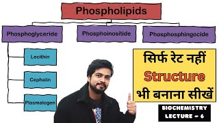 Phospholipids and its Types  Biochemistry Lecture in Hindi [upl. by Ojoj]