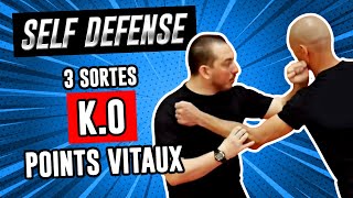 3 types de KO en KYUSHO JITSU Points de pression  Self défense [upl. by Almeida147]