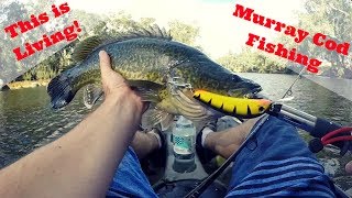 Murray Cod Kayak Fishing Above Copeton Dam Gwydir River [upl. by Stesha]