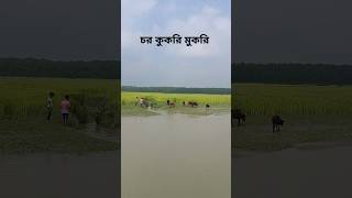 চর কুকরি মুকরি ভ্রমণ char kukri mukri bhola Bangladesh shorts travel vairalshort [upl. by Airdnahs]