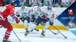 SESTŘIH  Tygři padli v Olomouci [upl. by Inaj]