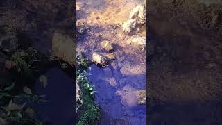 August Stream Flow 18 hydrology Flowing stressrelief slowed hikingadventures hiking [upl. by Daron]