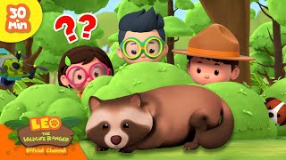 TANUKI TRANSFORMS 🦊🪄  Mysterious Myths  Leo the Wildlife Ranger  Kids Cartoons [upl. by Enaj]