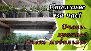 Стеллаж для рассады Просто и мобильно [upl. by Helli]