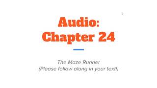 Maze Runner povs part 32 Frypan edition [upl. by Remlap]