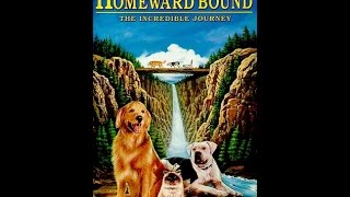 Opening to Homeward Bound The Incredible Journey 1993 VHS [upl. by Ivanna]