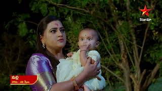 Malli  Promo  13th Dec 2024  Star Maa Serials  MonSat at 3 pm  Star Maa [upl. by Esac758]