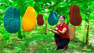 Harvest chayote amp Goes To Market Sell  Harvesting And Cooking  Lý Song Ca [upl. by Acissehc679]