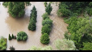 Wetlands and Woodlots Reducing the Impacts of Flood Events [upl. by Alatea783]