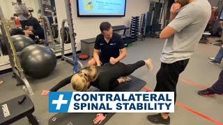 Contralateral Spinal Stability in a Bird Dog  Tim Keeley  Physio REHAB [upl. by Carrissa101]