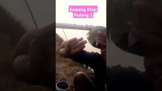 Lepasan 15 kwintal Nila Nirwana amp Albino ‼️Perdana Empang Rizal Padang 2 [upl. by Diogenes597]