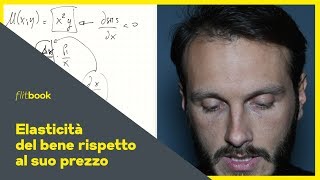 Elasticità della domanda al prezzo  Flitbook  Lezioni Microeconomia  Economia Politica [upl. by Llerdnod899]