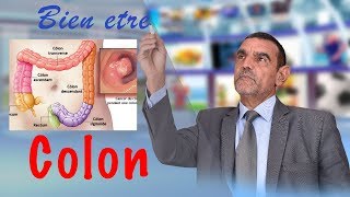 Irritation du colon Bien être Dr Faid Mohamed [upl. by Mall454]