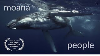 Moana People  Whales become People A revolutionary view on Nature Voice over by Florian Ulrich [upl. by Tremml]