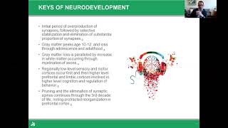 ADHD Assessment Key Concerns and Interventions [upl. by Rednas]