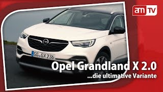 Opel Grandland X Topmodell  amTV [upl. by Erreipnaej]