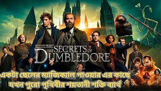 Fantastic BeastsThe Secrets of Dumbledore Movie Explained in Bangla ফ্যান্টাস্টিক বিস্ট দ্যা সিক্রেট [upl. by Sixela212]