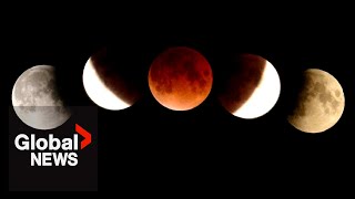 Beaver Blood Moon Full lunar eclipse fills skies over Canada [upl. by Carlson]