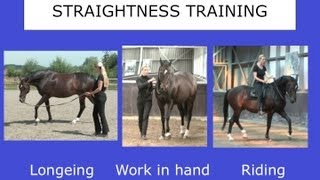 Straightness Training Webinar  Part II  Marijke de Jong [upl. by Htebaile762]