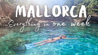 Best places to snorkel explore amp get local snacks in Mallorca [upl. by Ordnael]