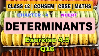 Exercise 45  Q16  Determinants  chapter 4  class 12  cohsem  ncert  maths [upl. by Yrallam]