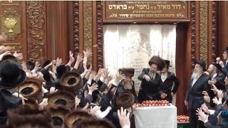 Apple Tish With Toldos Yehuda Stitchin Rebbe  Motzei Simchas Torah 2024 [upl. by Alten]