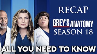 Grey´s Anatomy Season 18 Recap  ALL YOU NEED TO KNOW [upl. by Terle]