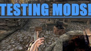 Skyrim VR with Natural Locomotion  Testing Out New and Interesting Mods [upl. by Eilsehc]