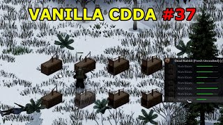 Vanilla Project Zomboid CDDA Challenge 37  Full Gameplay [upl. by Waldo337]