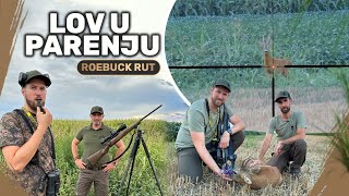 Parenje Srndaća  Lov u VojvodiniRoebuck rut  hunting in Flatland TRAILER  E206 [upl. by Derrej]