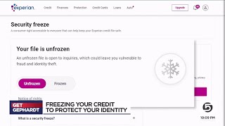 Using credit freezes and fraud alerts to curb identity theft damage [upl. by Hester]