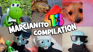 🤪 MARCIANITO TEMPORADA 13 🤣 En Orden COMPILATION shorts funny viral serie animals humor [upl. by Tibold500]