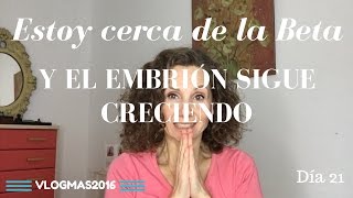 Afirmaciones positivas de fertilidad Día 21 Vlogmas2016 [upl. by Acus384]