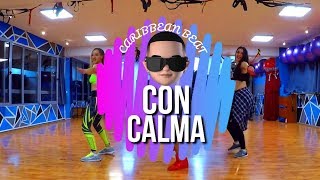 Con Calma  Daddy Yankee amp Snow ft Saer Jose [upl. by Ahsinav]