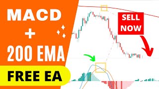 70 WINRATE STRATEGY TESTED 100x MACD  PARABOLIC SAR  200 EMA [upl. by Ettenad]