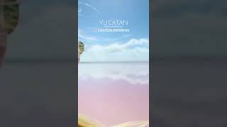 YouTube Shorts Yucatán ¡Explora sin Vaciar tu Cartera 🌴✈️ [upl. by Lopes411]