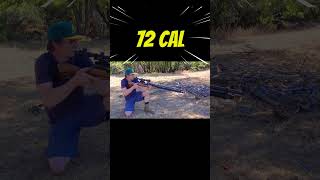 457 Airgun vs 72 Cal Airgun shorts [upl. by Uwton]