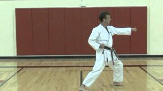 Karate Kata Ideas for Expanded Kata Training [upl. by Coates704]