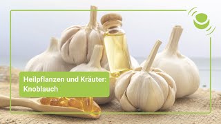 Knoblauch – Alles was du über seine Wirkung wissen solltest [upl. by Relyks]