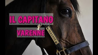 Il cavallo più veloce del mondo  Il Capitano Varenne  🐴 HORSE PLANET [upl. by Reeher532]