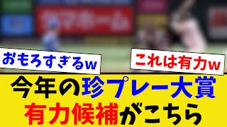 2023年の珍プレー大賞有力候補がこちら [upl. by Deni]