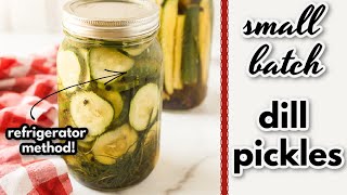 Small Batch Refrigerator Pickles with Garlic and Dill [upl. by Ellehcal]